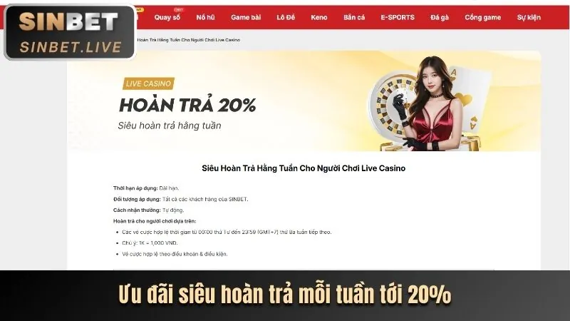 Khám phá ưu đãi trà hoa thịnh vượng twin68